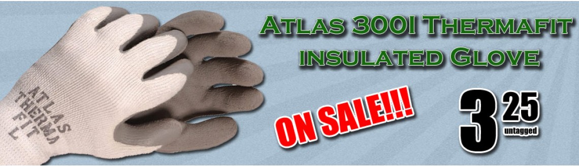 03-Atlas 300I